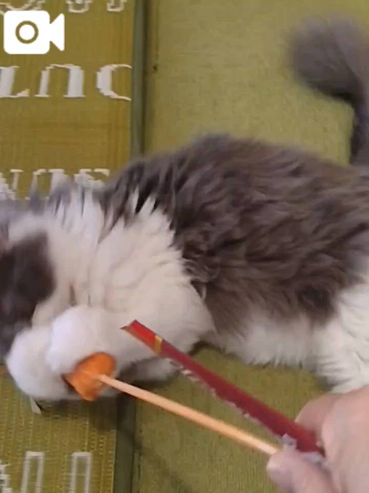 ほっとひと息😻