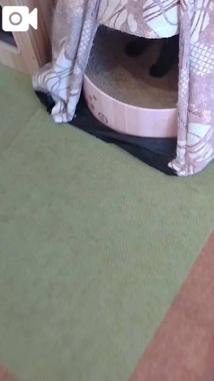 ほっとひと息😻