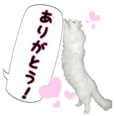 お誘いくださり、どうもありがとうございました💗