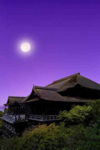 おやすみなさい