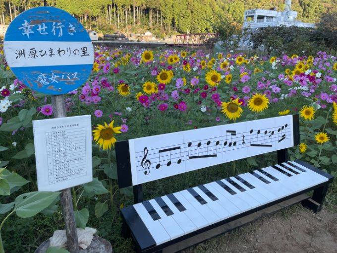 さゆり　　指名料無料中