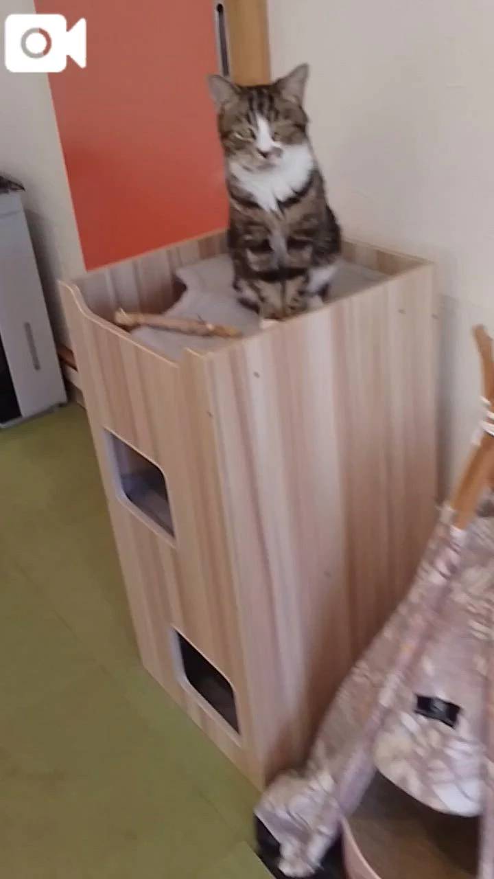 ほっとひと息😻