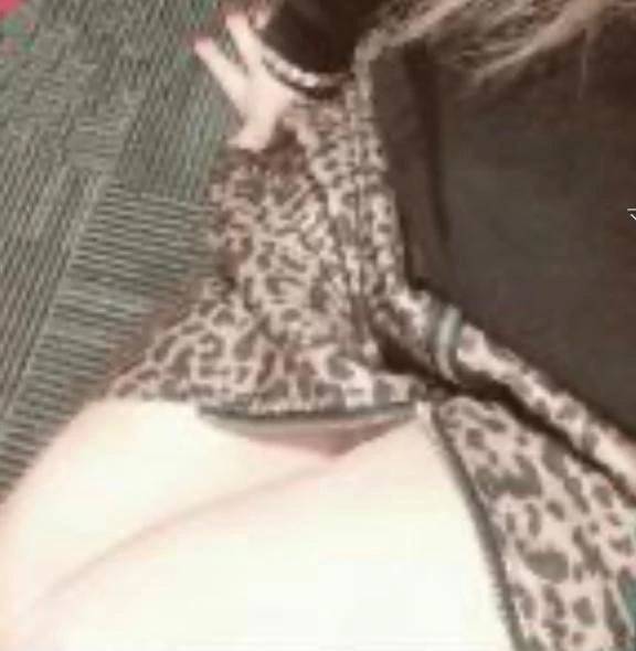 アラジン203様❤