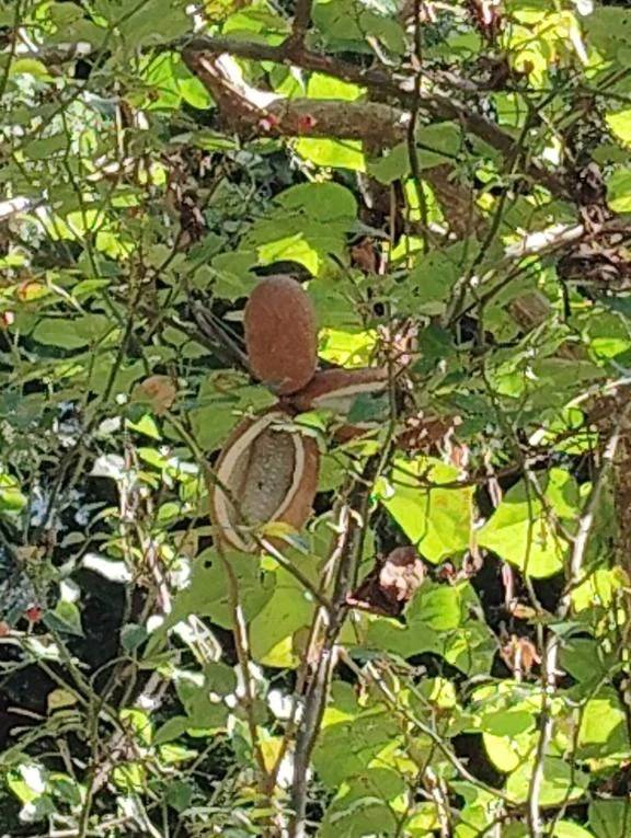 おはようございます😊