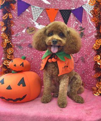 さゆり　　指名料無料中