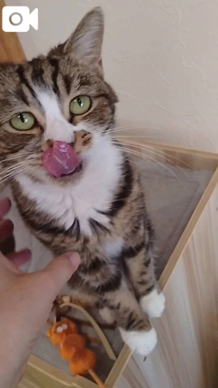 ほっとひと息😻