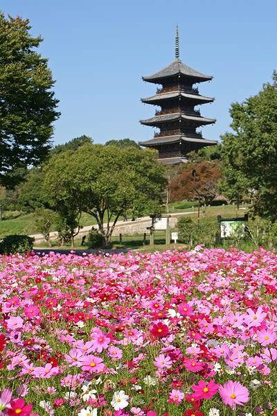 さゆり　　指名料無料中