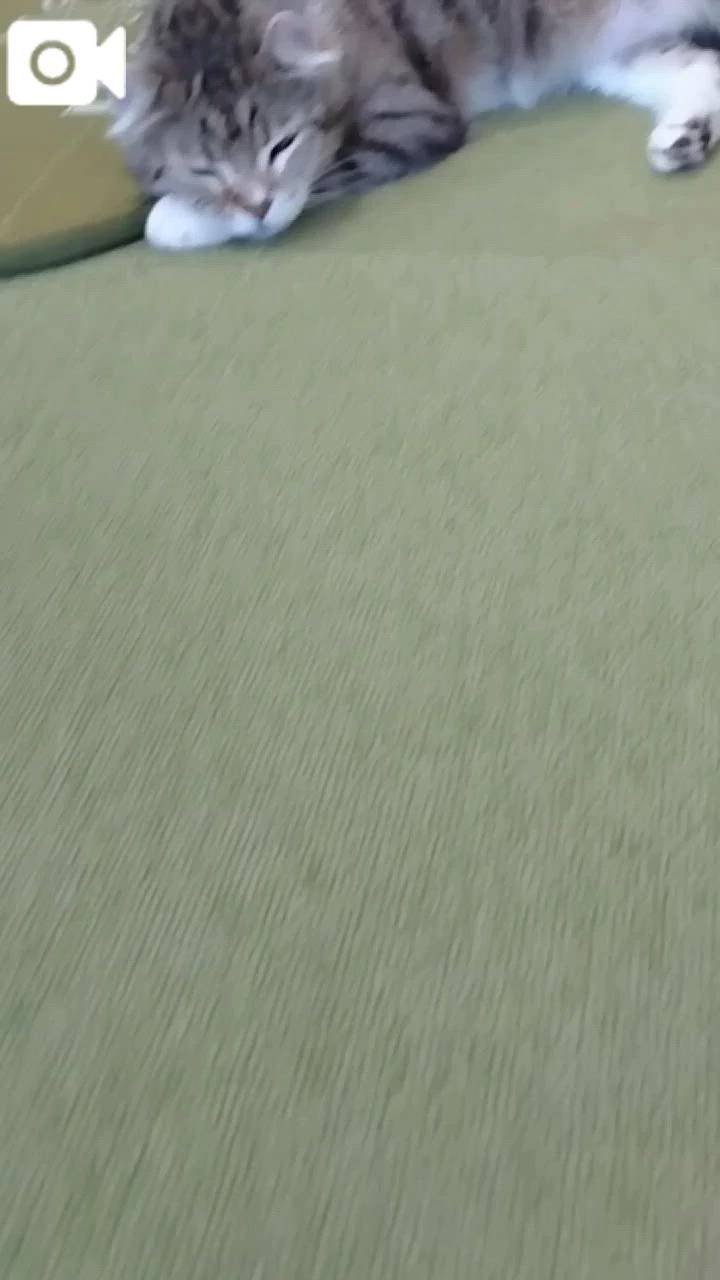 ほっとひと息😻