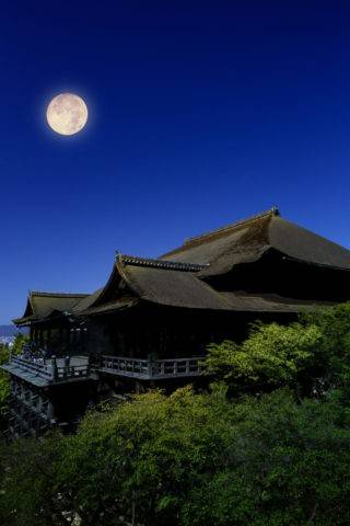 さゆり　　指名料無料中