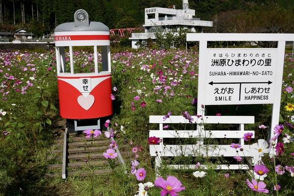 さゆり　　指名料無料中