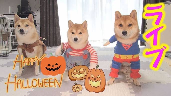 さゆり　　指名料無料中