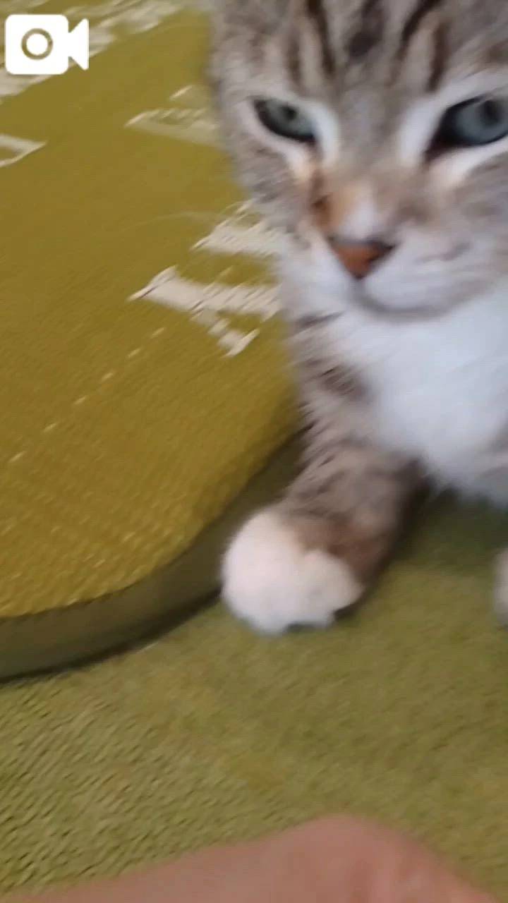 ほっとひと息😻