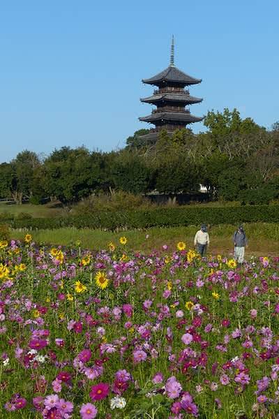 さゆり　　指名料無料中