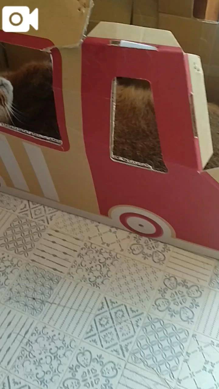 ほっとひと息😻