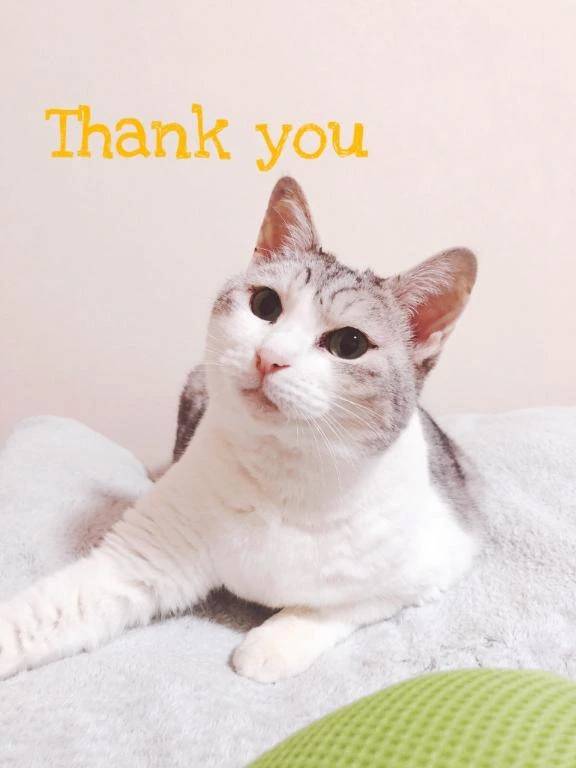 出勤予定です♡