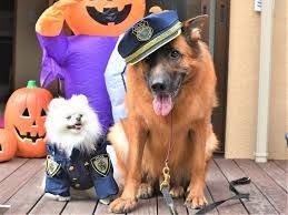 さゆり　　指名料無料中