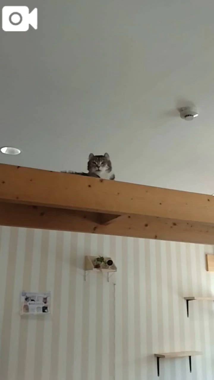 ほっとひと息😻