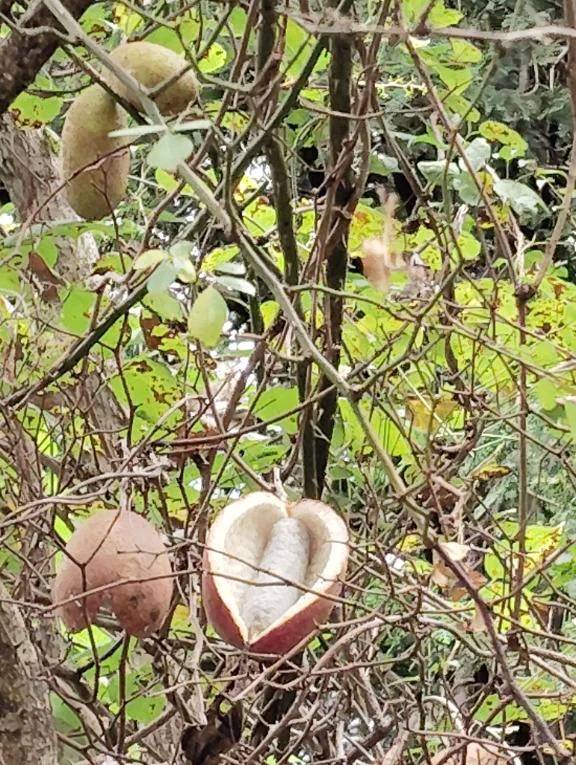 われましたが、