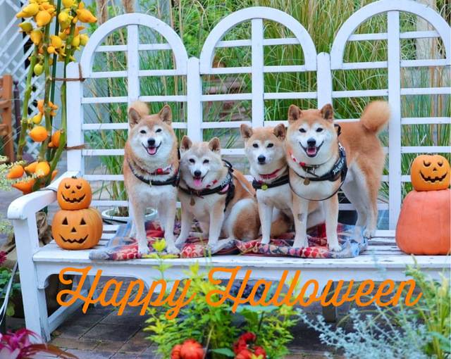 さゆり　　指名料無料中