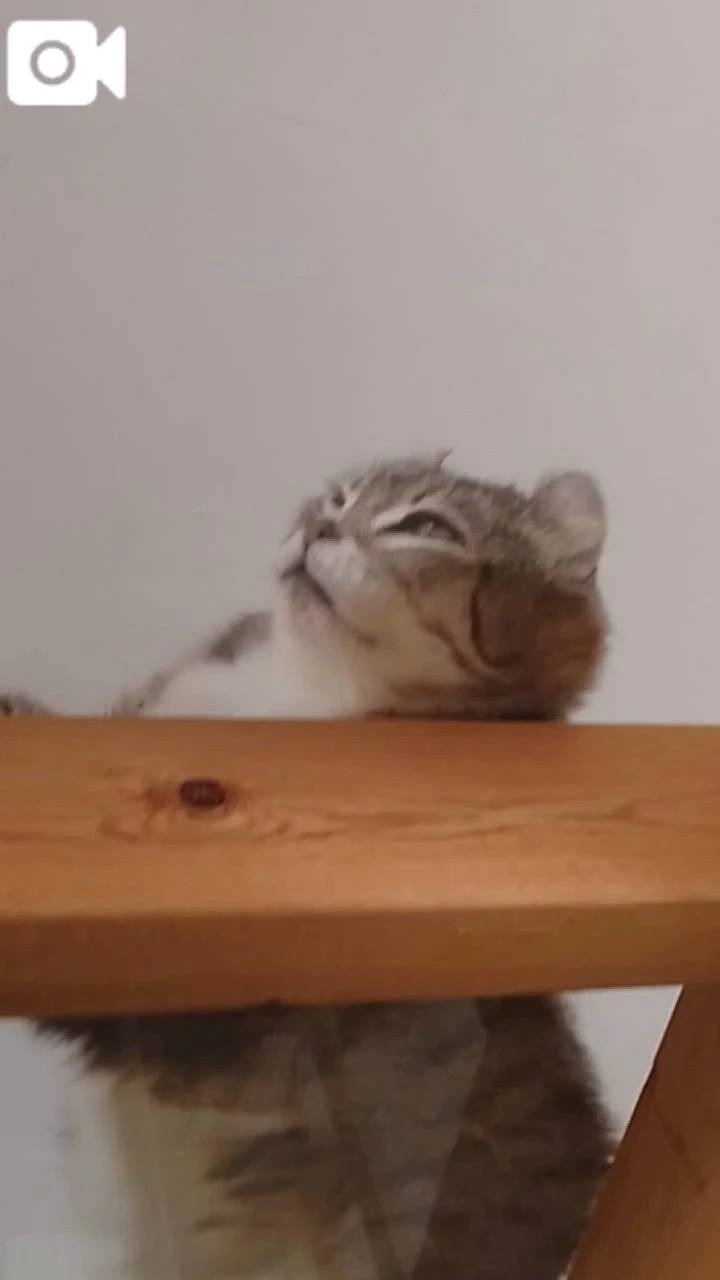 ほっとひと息😻