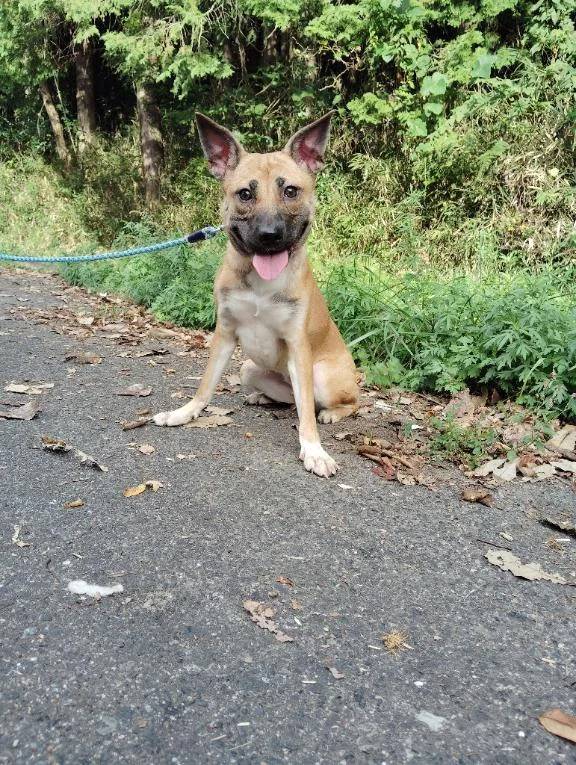 おはようございます😊