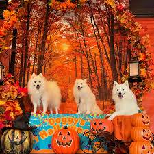 さゆり　　指名料無料中