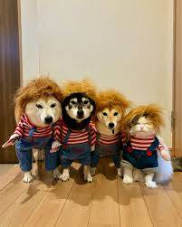 さゆり　　指名料無料中