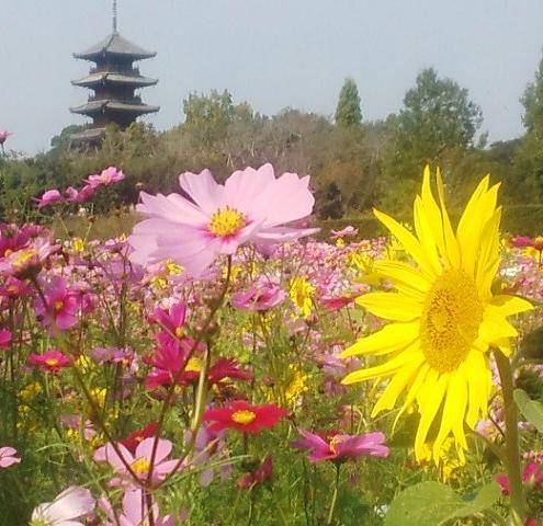 さゆり　　指名料無料中