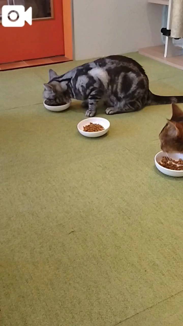 ほっとひと息😻