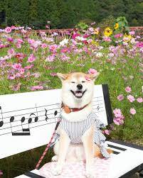 １０月になって４回目の金曜日