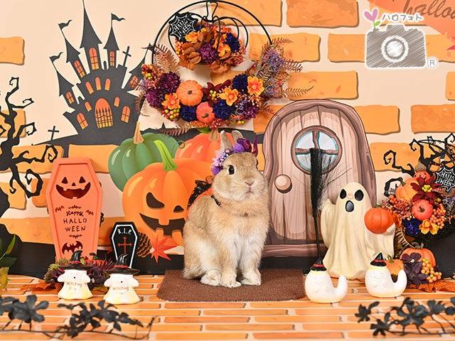 今月最後の土曜日