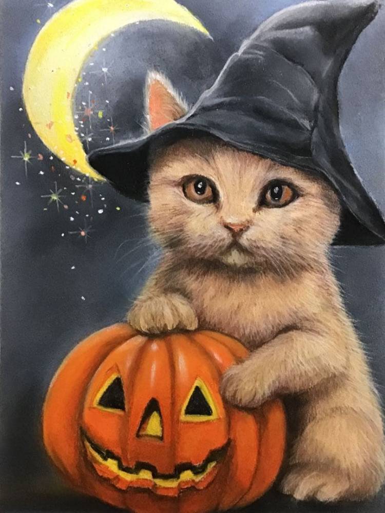 お疲れ様でした