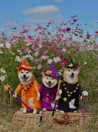 本日も宜しくお願いいたします