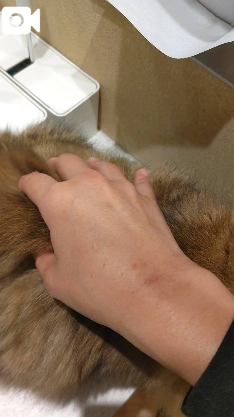 体験　ゆずき　　指名料無料　応援企画対応