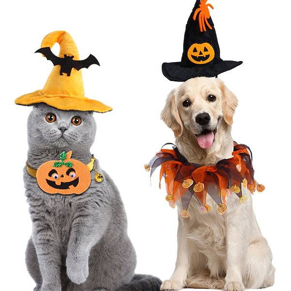 お休みさせていただきます