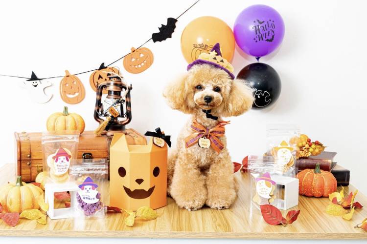 お疲れ様でした