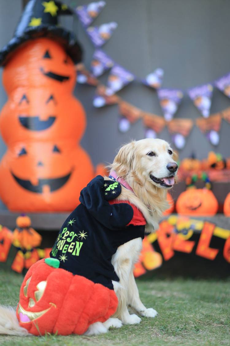 今月最後の火曜日
