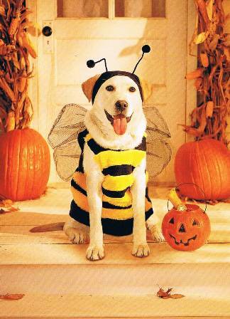 本日も宜しくお願いいたします