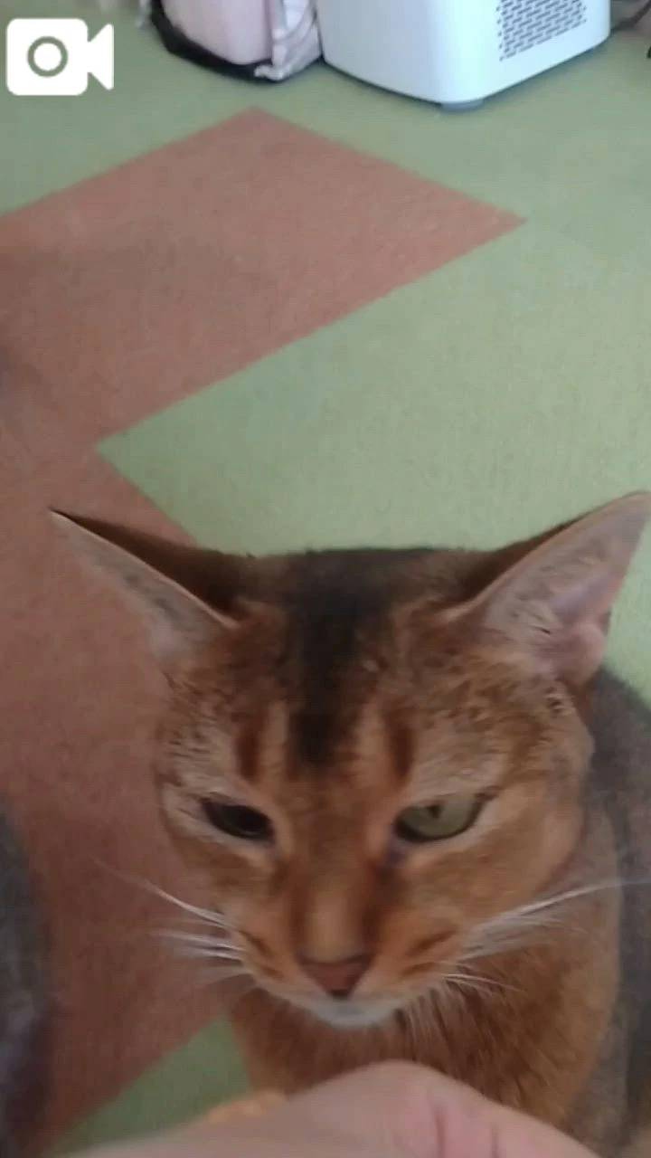 ほっとひと息😻