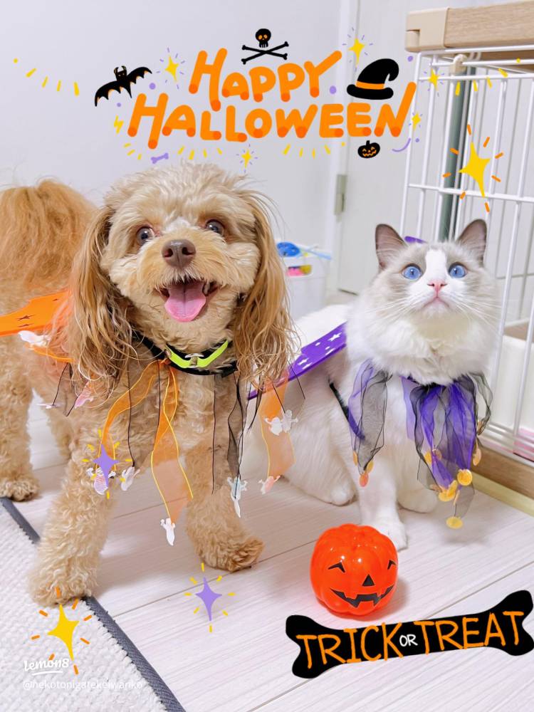 お疲れ様でした