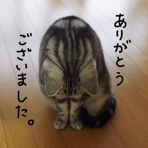 お誘いくださり、どうもありがとうございました🙇