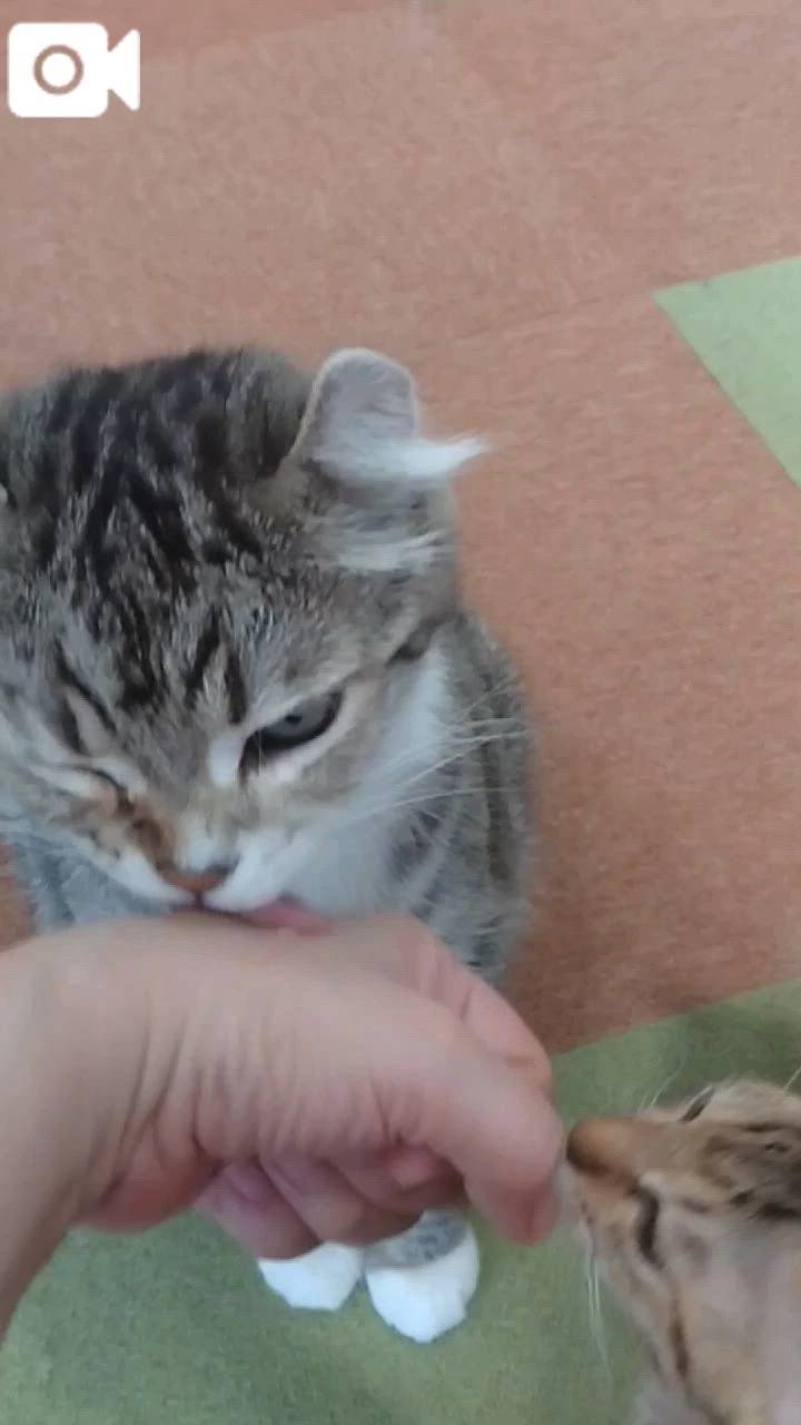 ほっとひと息😻