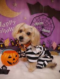 お疲れ様でした