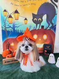 今月最後の木曜日