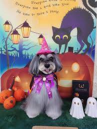 予想最高気温は２０℃