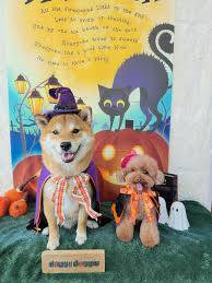 本日も宜しくお願いいたします