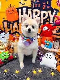 おやすみなさい