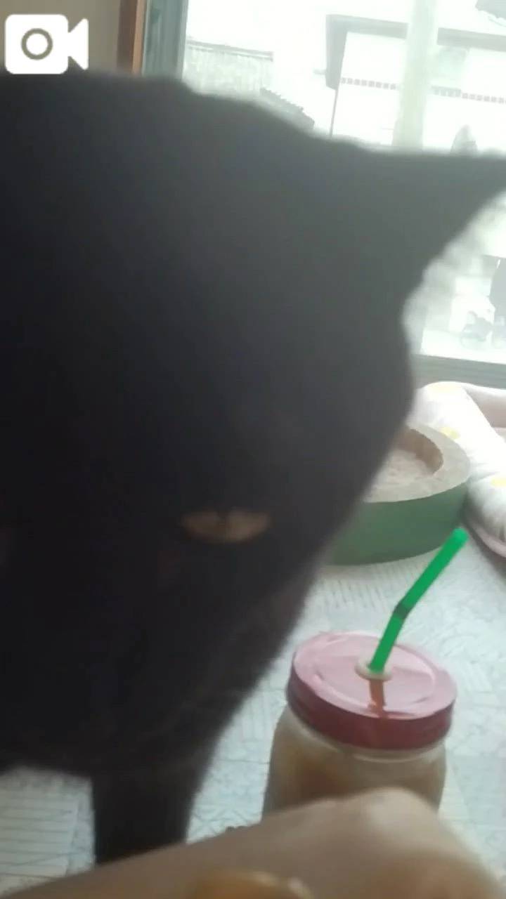 ほっとひと息😻