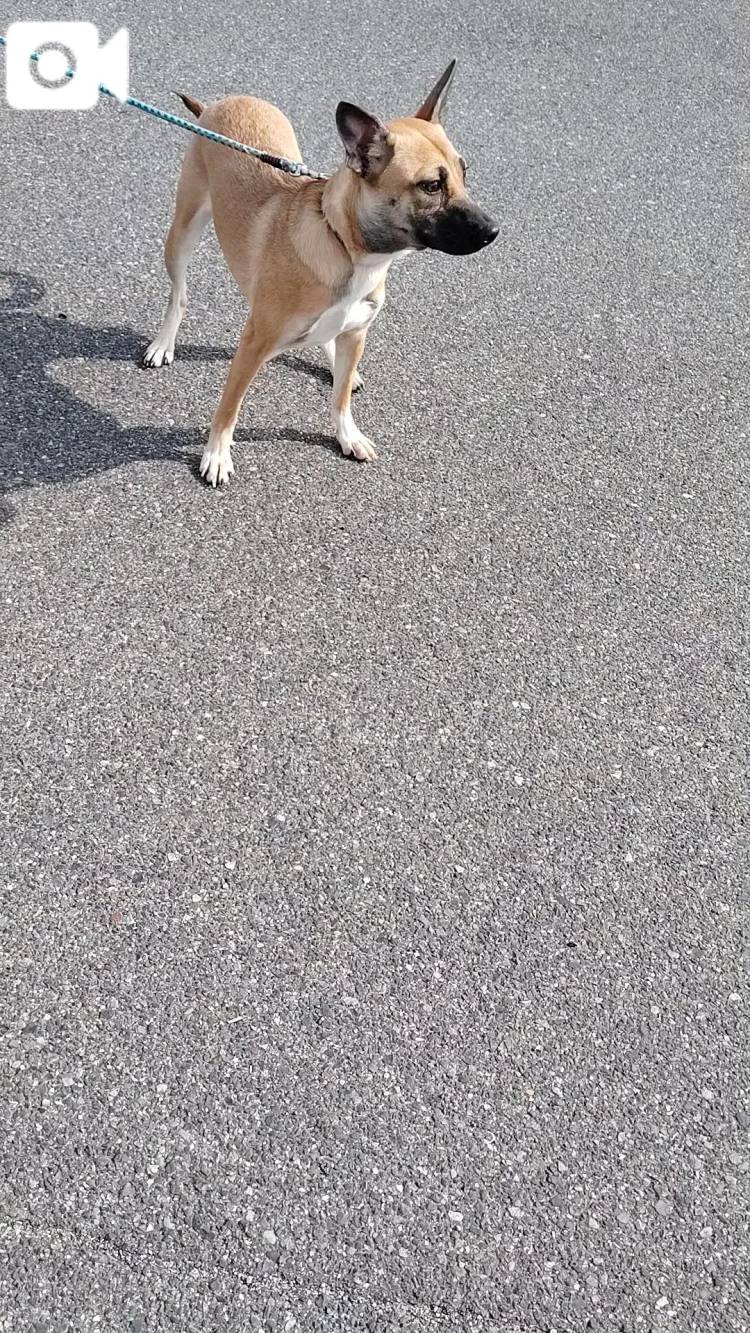 おはようございます😊