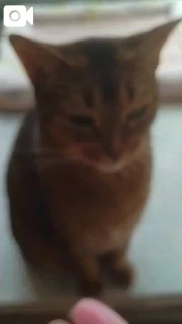 ほっとひと息😻